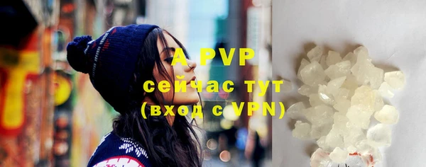 прущие грибы Новодвинск