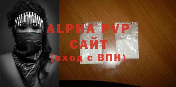 прущие грибы Новодвинск