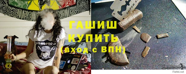 прущие грибы Новодвинск