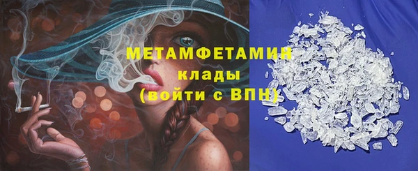 прущие грибы Новодвинск