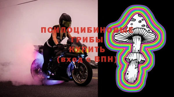мдпв Валдай