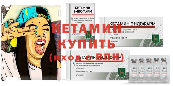 прущие крисы Новозыбков