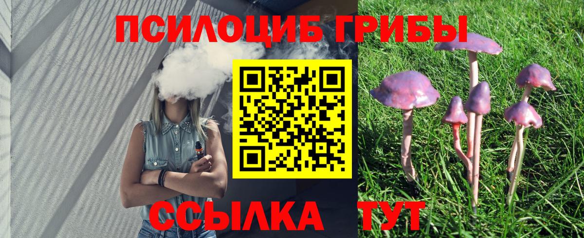 Красноармейск  Псилоцибиновые грибы Magic Shrooms  Вход с VPN 