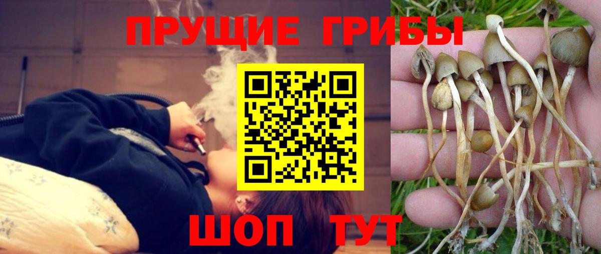 Псилоцибиновые грибы Magic Shrooms Красноармейск